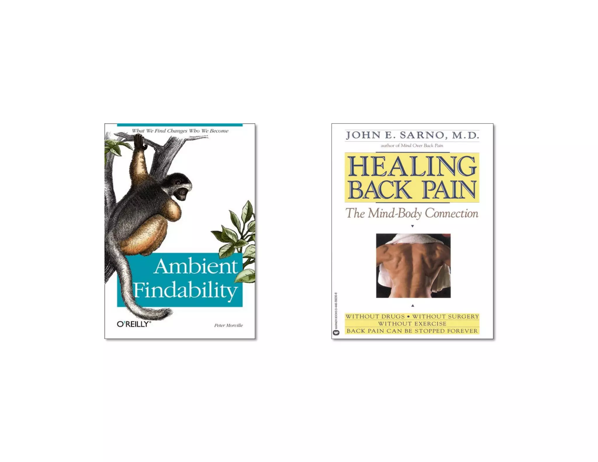 The Architecture of Understanding