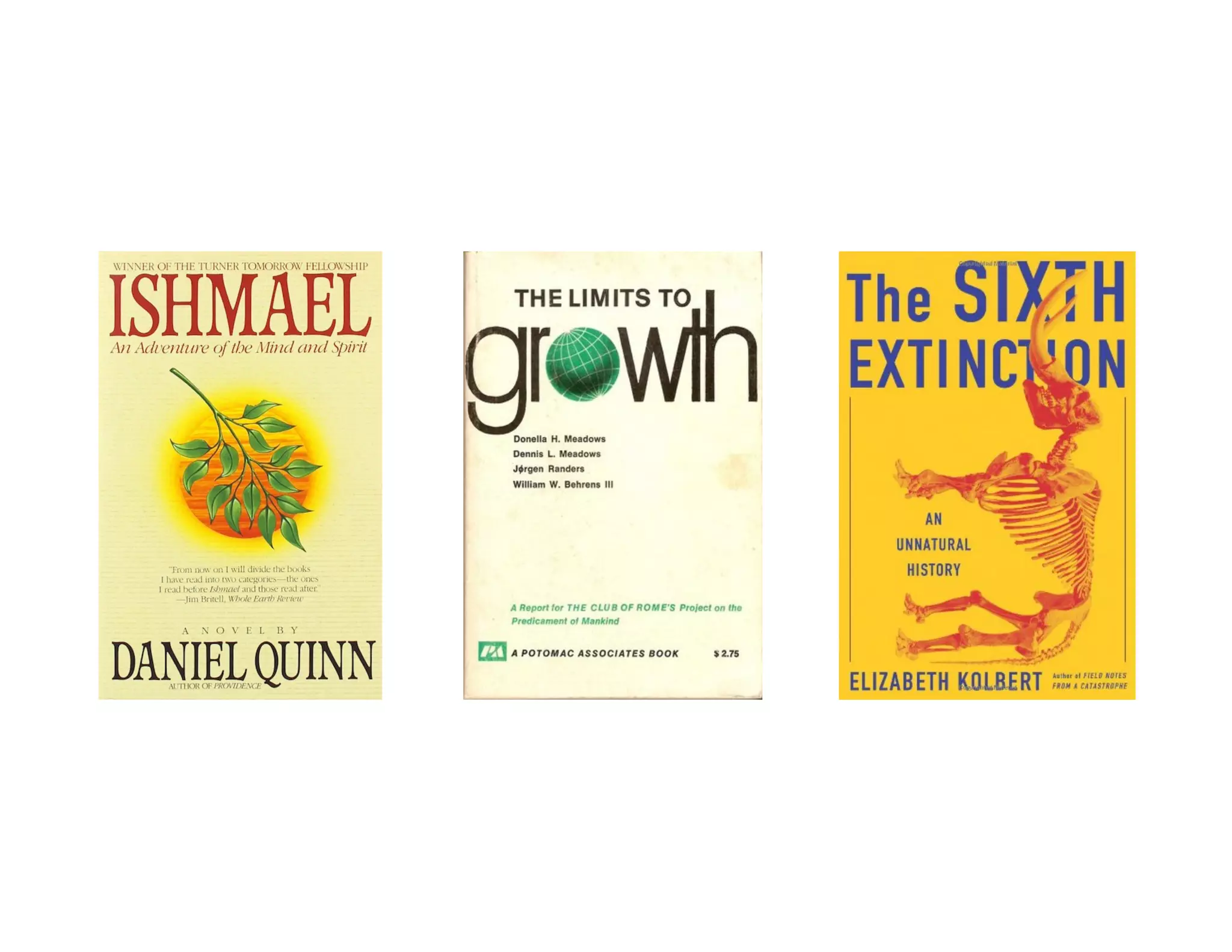 The Architecture of Understanding