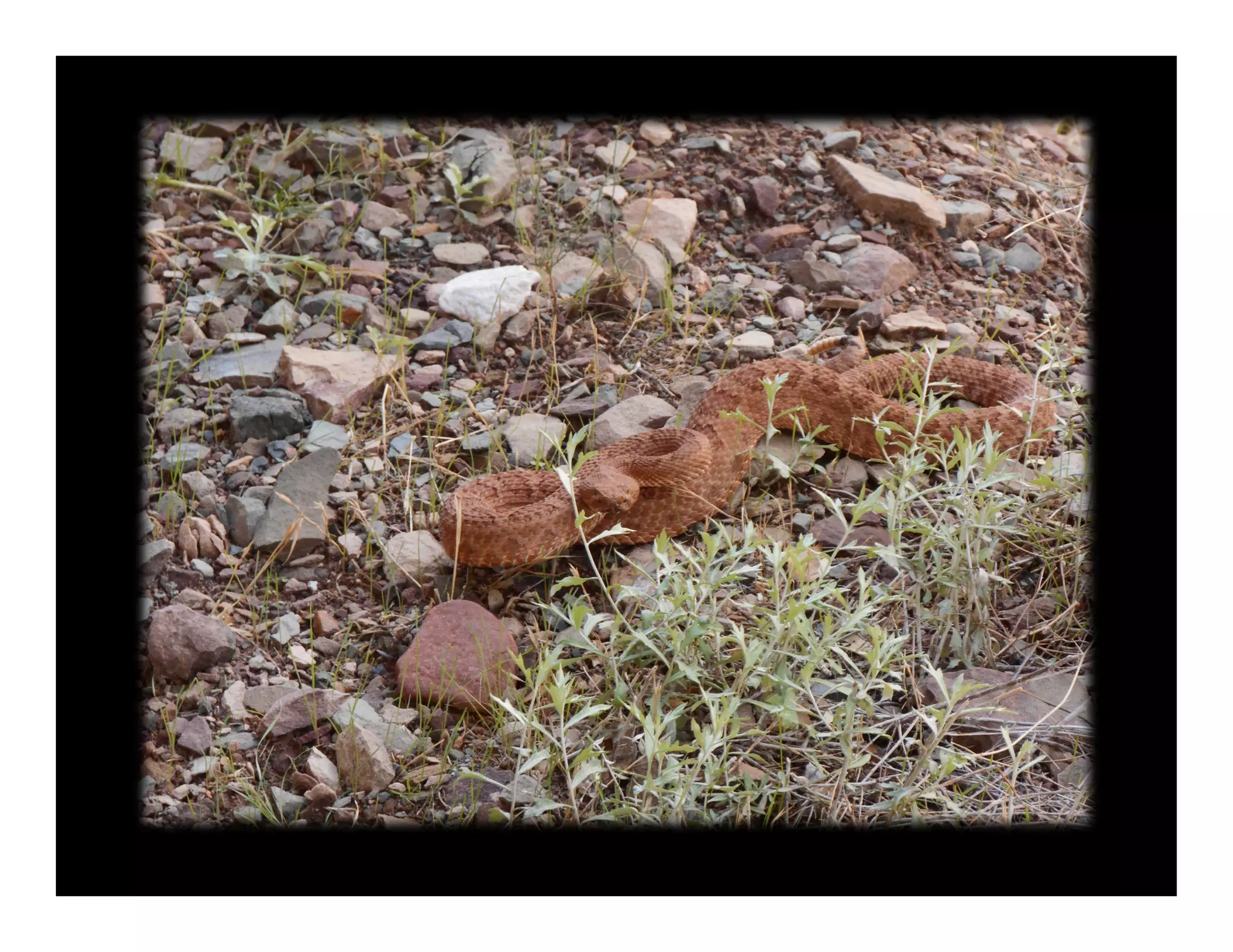 The Architecture of Understanding