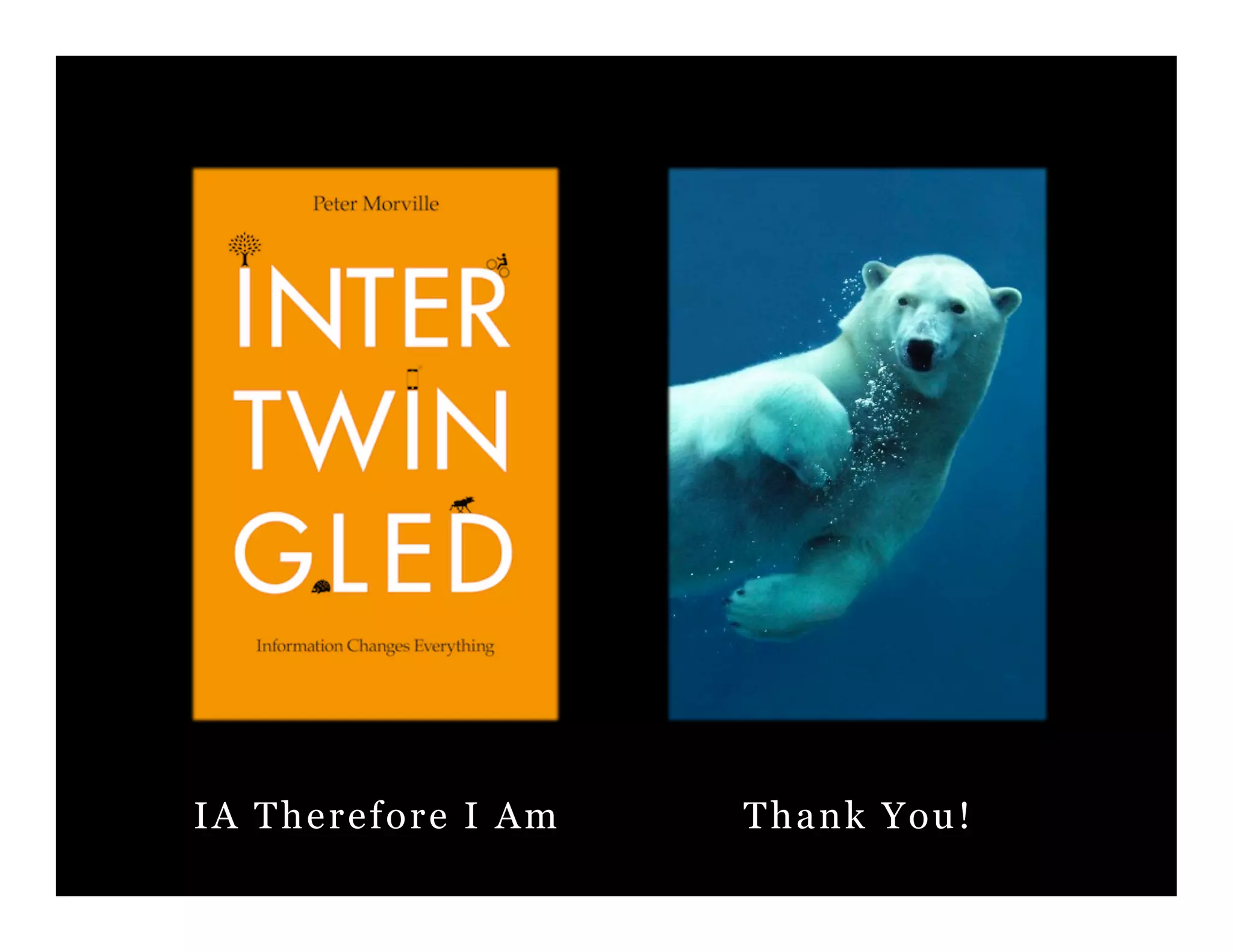 The Architecture of Understanding