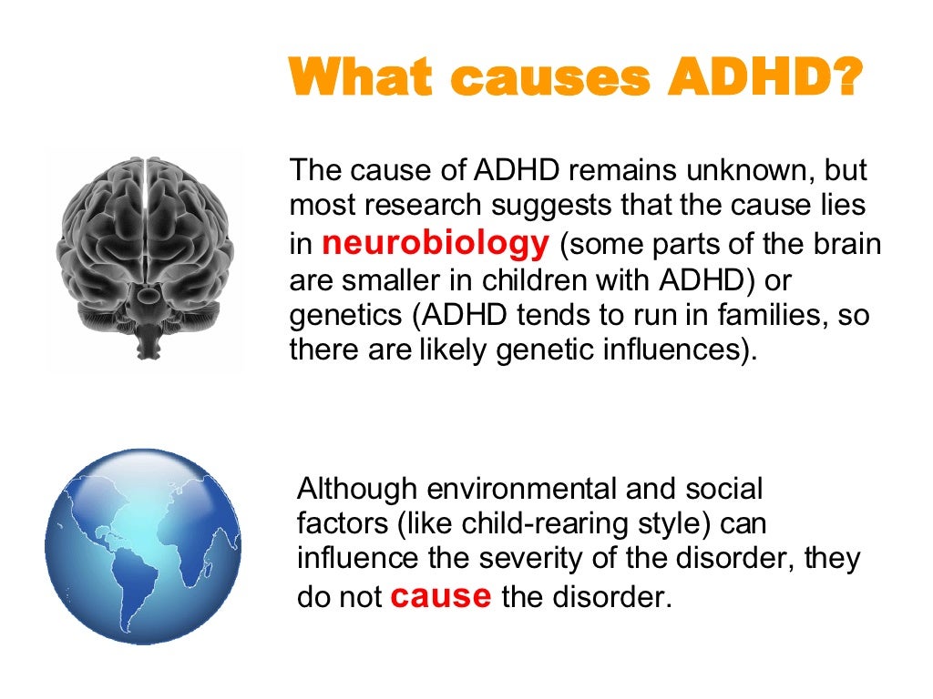 adhd and what causes the childhood Scientists are also investigating the causes of adhd at the neurotransmitter level of brain adhd causes continued margaret childhood adhd overview. adhd and what causes the childhood Scientists are also investigating the causes of adhd at the neurotransmitter level of brain adhd causes continued margaret childhood adhd overview.