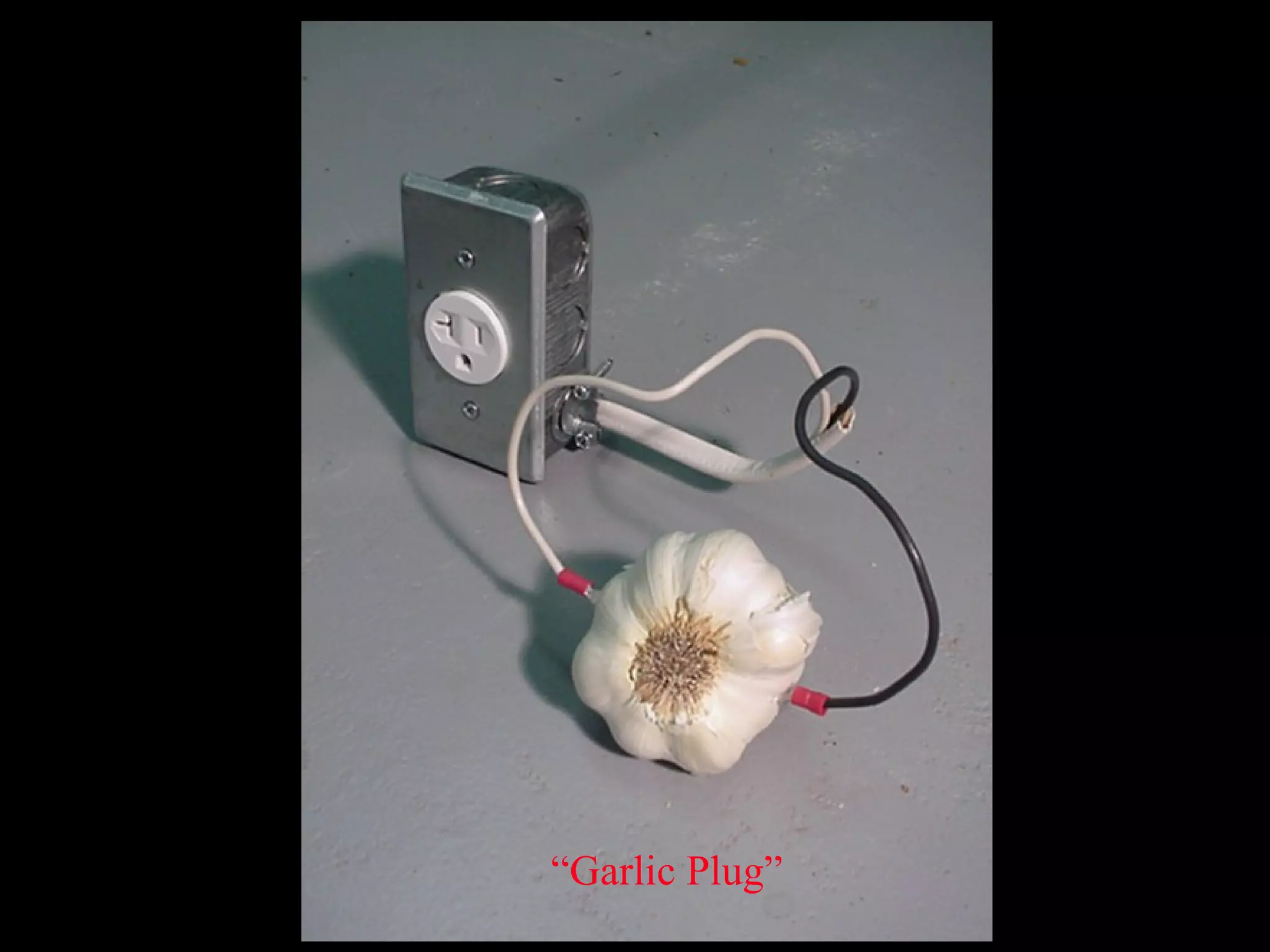 “ Garlic Plug” 