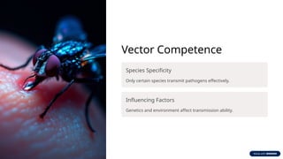 Vector Competence
Species Specificity
Only certain species transmit pathogens effectively.
Influencing Factors
Genetics and environment affect transmission ability.
 