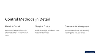 Control Methods in Detail
Chemical Control
Pyrethroids like permethrin are
effective but have environmental
risks.
Biological Control
Bti bacteria target larvae with >90%
field reduction rates.
Environmental Management
Modifying water flow and removing
breeding sites reduces larvae.
 