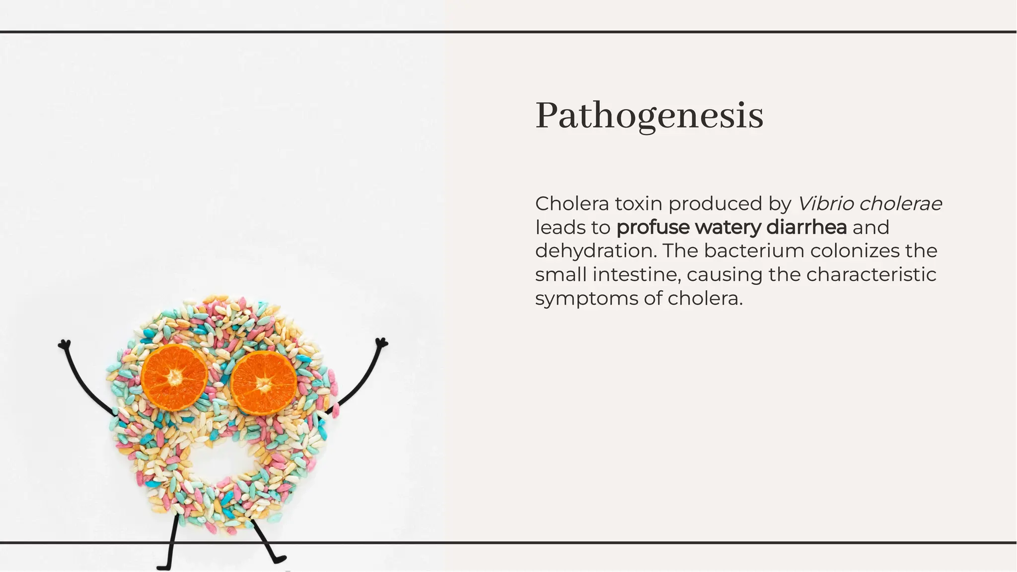 Pathogenesis
Pathogenesis
Cholera toxin produced by Vibrio cholerae
leads to profuse watery diarrhea and
dehydration. The bacterium colonizes the
small intestine, causing the characteristic
symptoms of cholera.
Cholera toxin produced by Vibrio cholerae
leads to profuse watery diarrhea and
dehydration. The bacterium colonizes the
small intestine, causing the characteristic
symptoms of cholera.
 