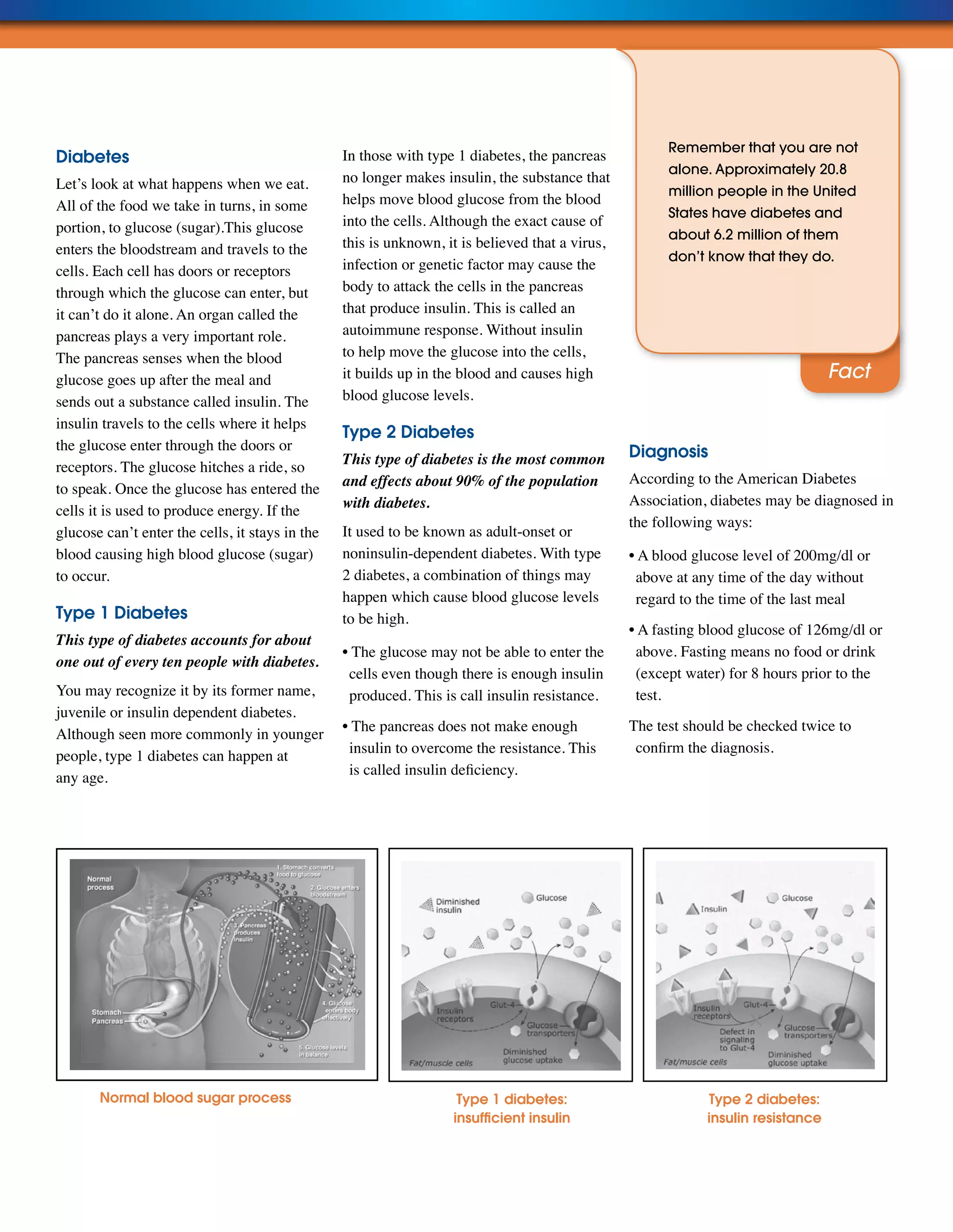 Understanding Diabetes: Diabetes Facts | PDF
