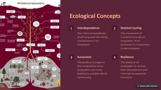 Ecological Concepts
1 Interdependence
The interconnectedness
of all living and non-living
components in an
ecosystem.
2 Nutrient Cycling
The movement of
nutrients through an
ecosystem, from
producers to consumers
to decomposers.
3 Succession
The gradual changes in
the composition of an
ecosystem over time,
leading to a stable climax
community.
4 Resilience
The ability of an
ecosystem to recover
from disturbances and
maintain its essential
functions.
preencoded.png
 