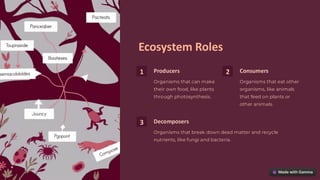 Ecosystem Roles
1 Producers
Organisms that can make
their own food, like plants
through photosynthesis.
2 Consumers
Organisms that eat other
organisms, like animals
that feed on plants or
other animals.
3 Decomposers
Organisms that break down dead matter and recycle
nutrients, like fungi and bacteria.
preencoded.png
 