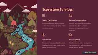 Ecosystem Services
Water Purification
Ecosystems filter and regulate
water resources, providing clean
drinking water.
Carbon Sequestration
Forests and other ecosystems
absorb and store carbon
dioxide, mitigating climate
change.
Pollination
Ecosystems support pollinators
like bees, which are essential for
plant reproduction.
Flood Control
Wetlands and other ecosystems
can absorb and regulate excess
water during floods.
preencoded.png
 