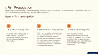 Understanding-Fish-Culture-and-Conservation.pptx