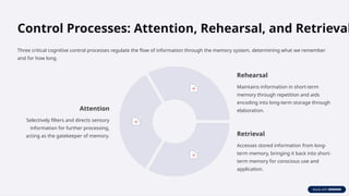 Understanding Atkinson's Stage Model of Information Processing and ...