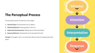 Perseptive Processes Understanding-Perception- concept and significance | PDF