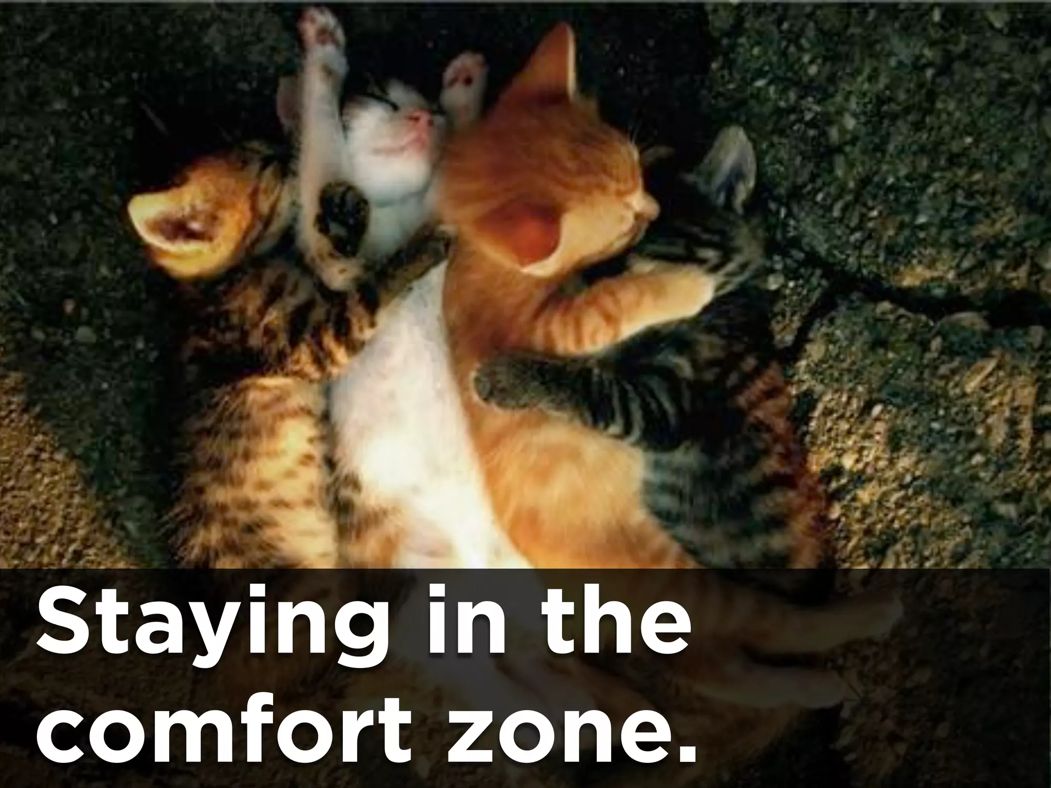 Staying in the
comfort zone.
 