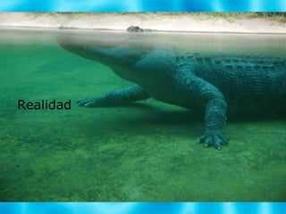 Panorama Completo Realidad 