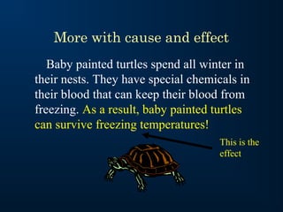More with cause and effect
   Baby painted turtles spend all winter in
their nests. They have special chemicals in
their blood that can keep their blood from
freezing. As a result, baby painted turtles
can survive freezing temperatures!
                                     This is the
                                     effect
 