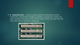 5. Expansion Bus - A bus is a data pathway between several
hardware components inside or outside a computer. It does not
only connect the parts of the CPU to each other, but also links the
CPU with other important hardware
 