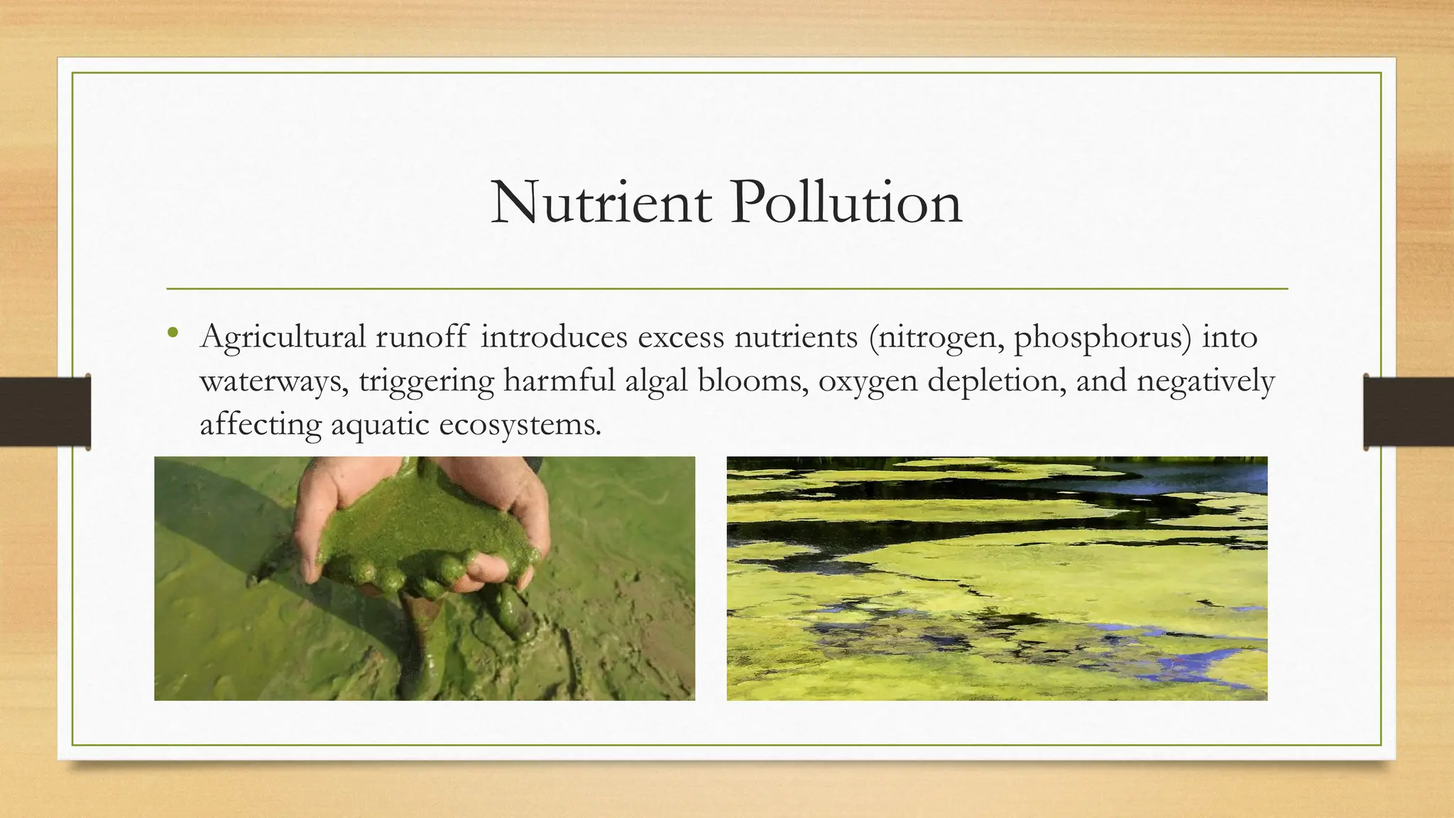 Nutrient Pollution
• Agricultural runoff introduces excess nutrients (nitrogen, phosphorus) into
waterways, triggering harmful algal blooms, oxygen depletion, and negatively
affecting aquatic ecosystems.
 