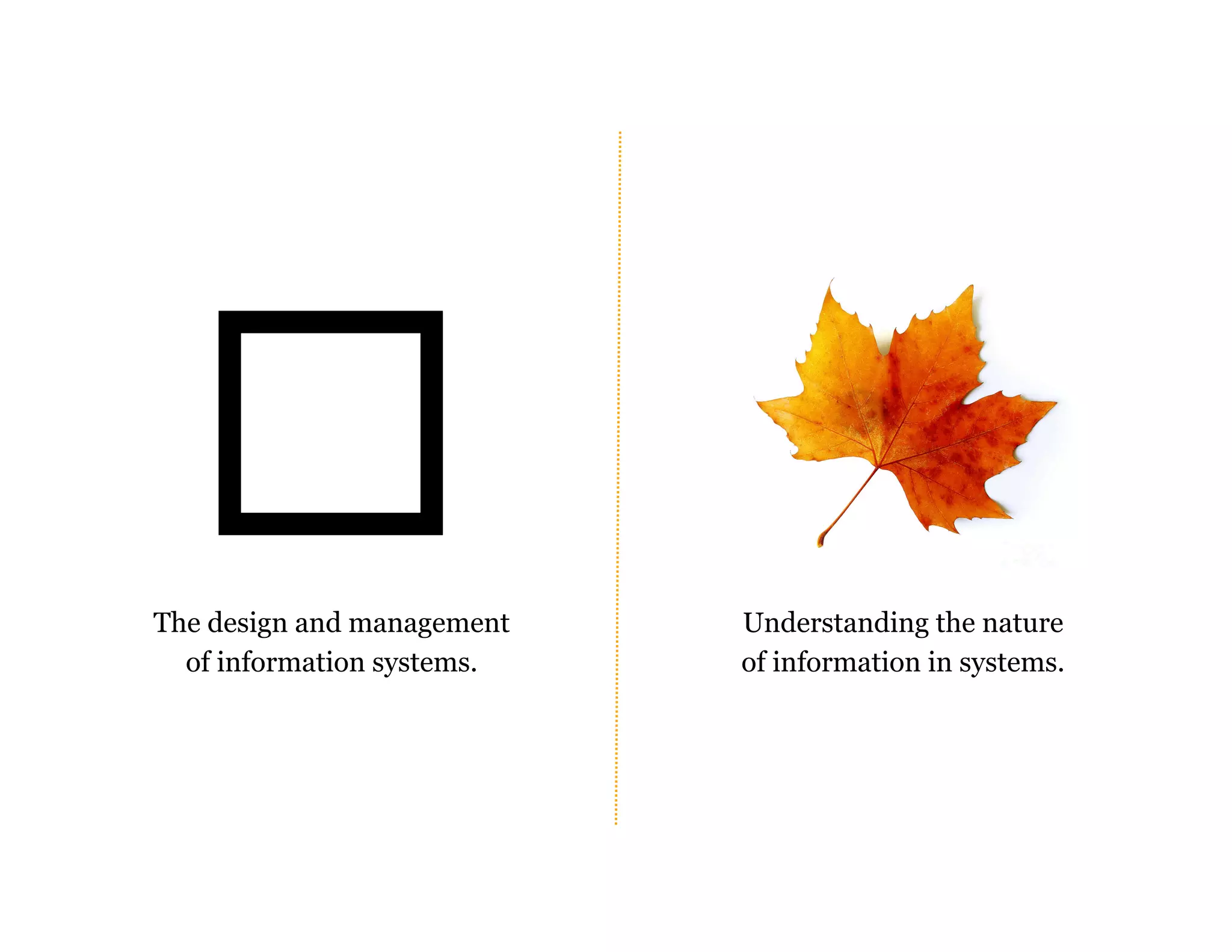 The design and management
of information systems.
Understanding the nature
of information in systems.
 