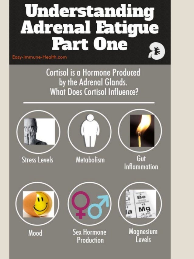Understanding Adrenal Fatigue