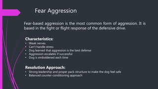 Understanding Aggression in Dogs | PPTX