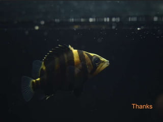 Understanding alien species for dummies