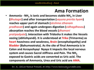 Understanding ama 2018 09-01 | PDF