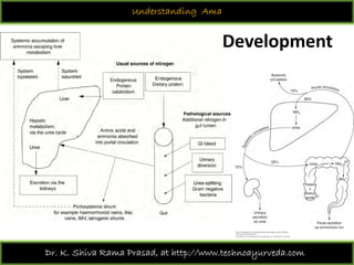 Understanding ama 2018 09-01 | PDF