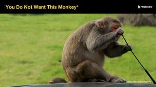 You Do Not Want This Monkey*
12
https://flic.kr/p/p8z6wN
 