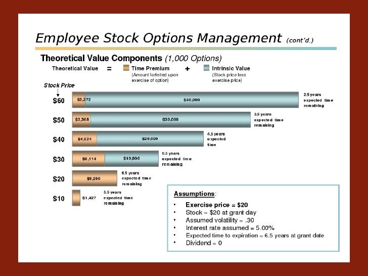 Understanding company stock options