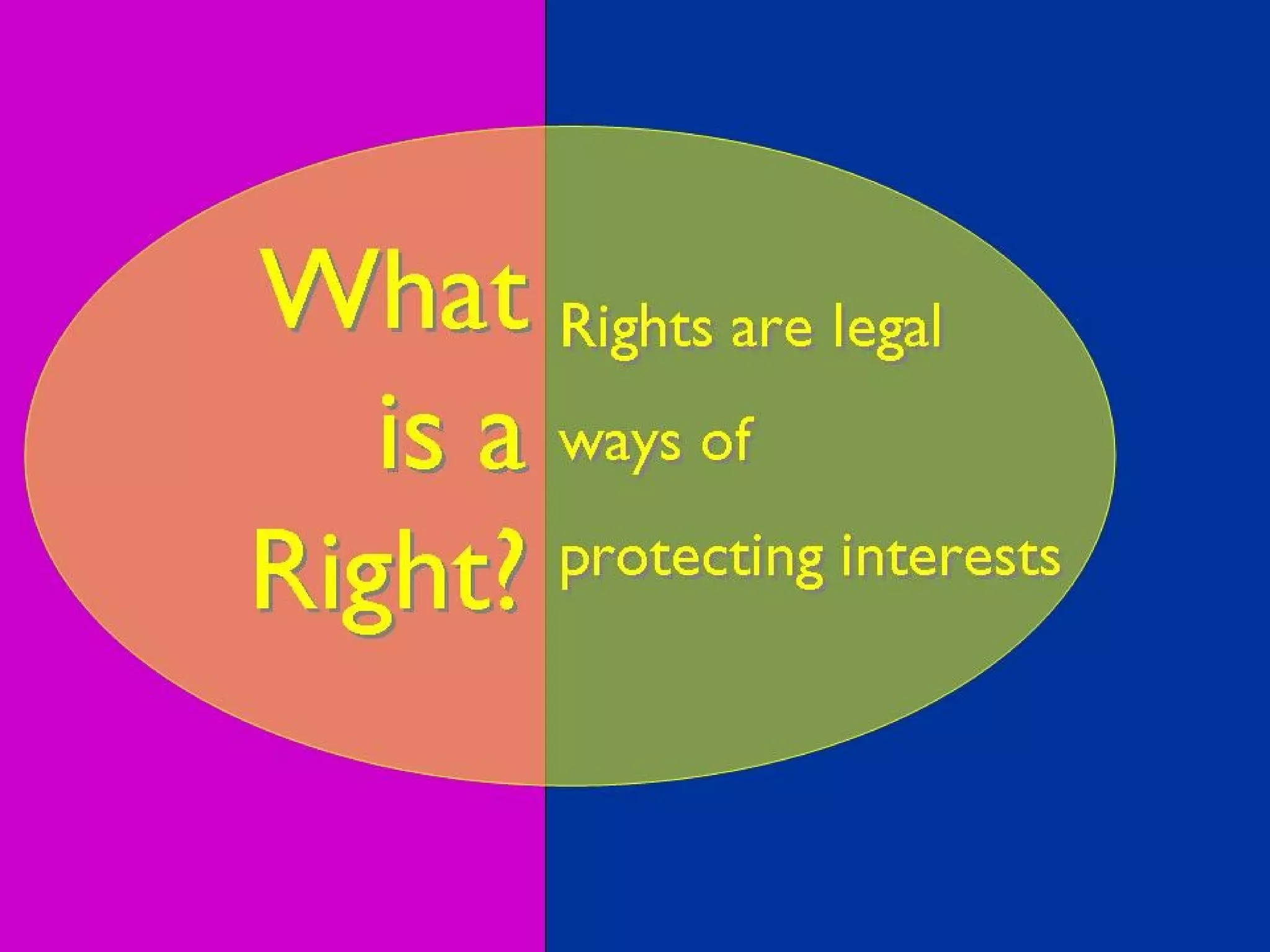 Understanding Animal Rights | PPT