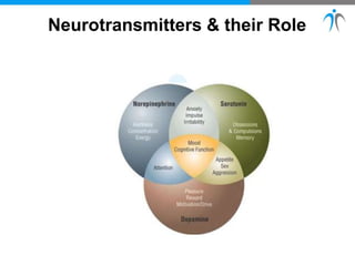 Neurotransmitters & their Role
 