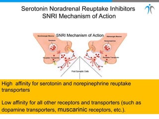 Serotonin Noradrenal Reuptake Inhibitors
SNRI Mechanism of Action
High affinity for serotonin and norepinephrine reuptake
transporters
Low affinity for all other receptors and transporters (such as
dopamine transporters, muscarinic receptors, etc.).
 