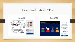 Understanding Aplastic Anemia medicine ppt | PPTX