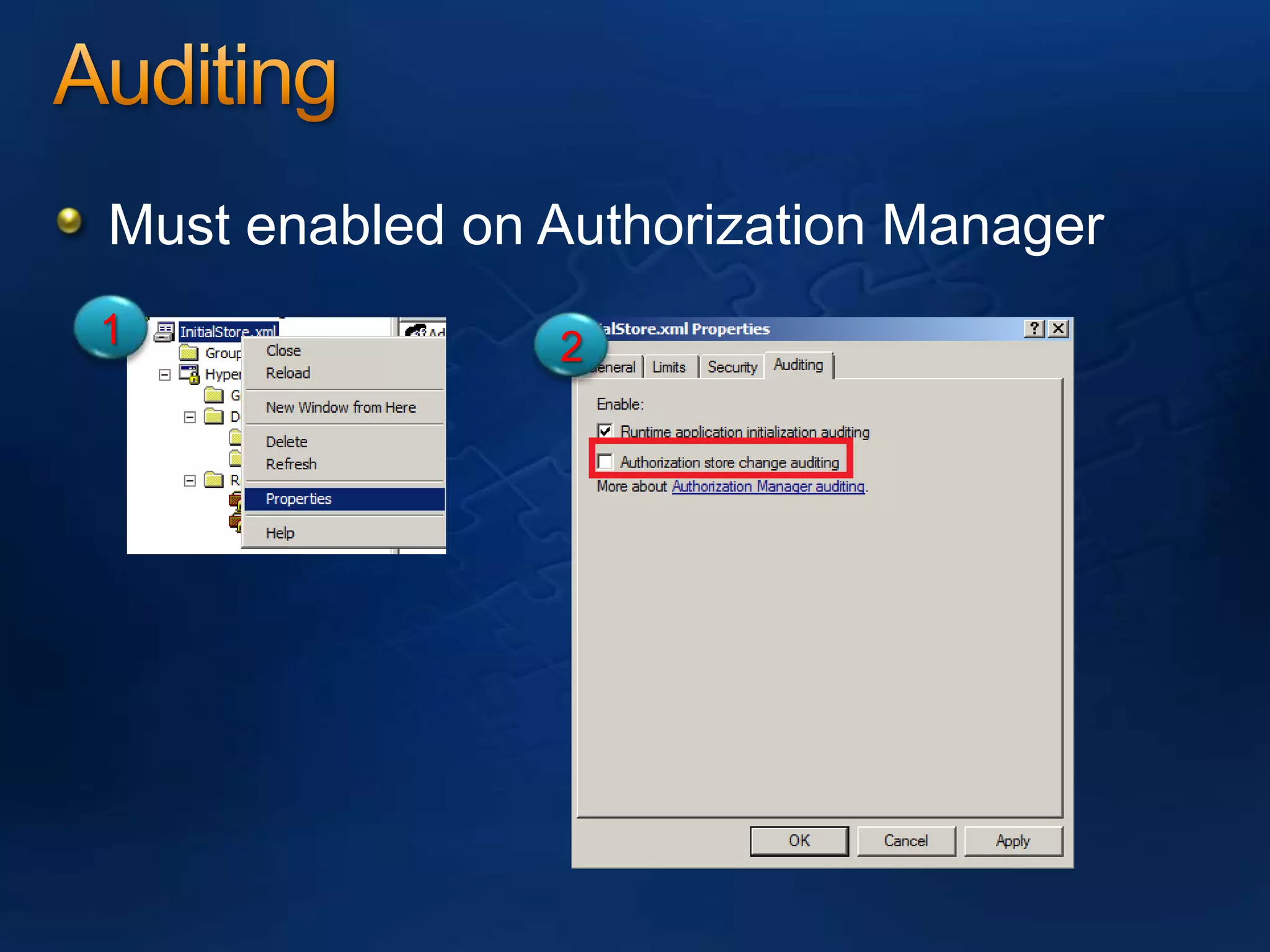 AuditingMust enabled on Authorization Manager12