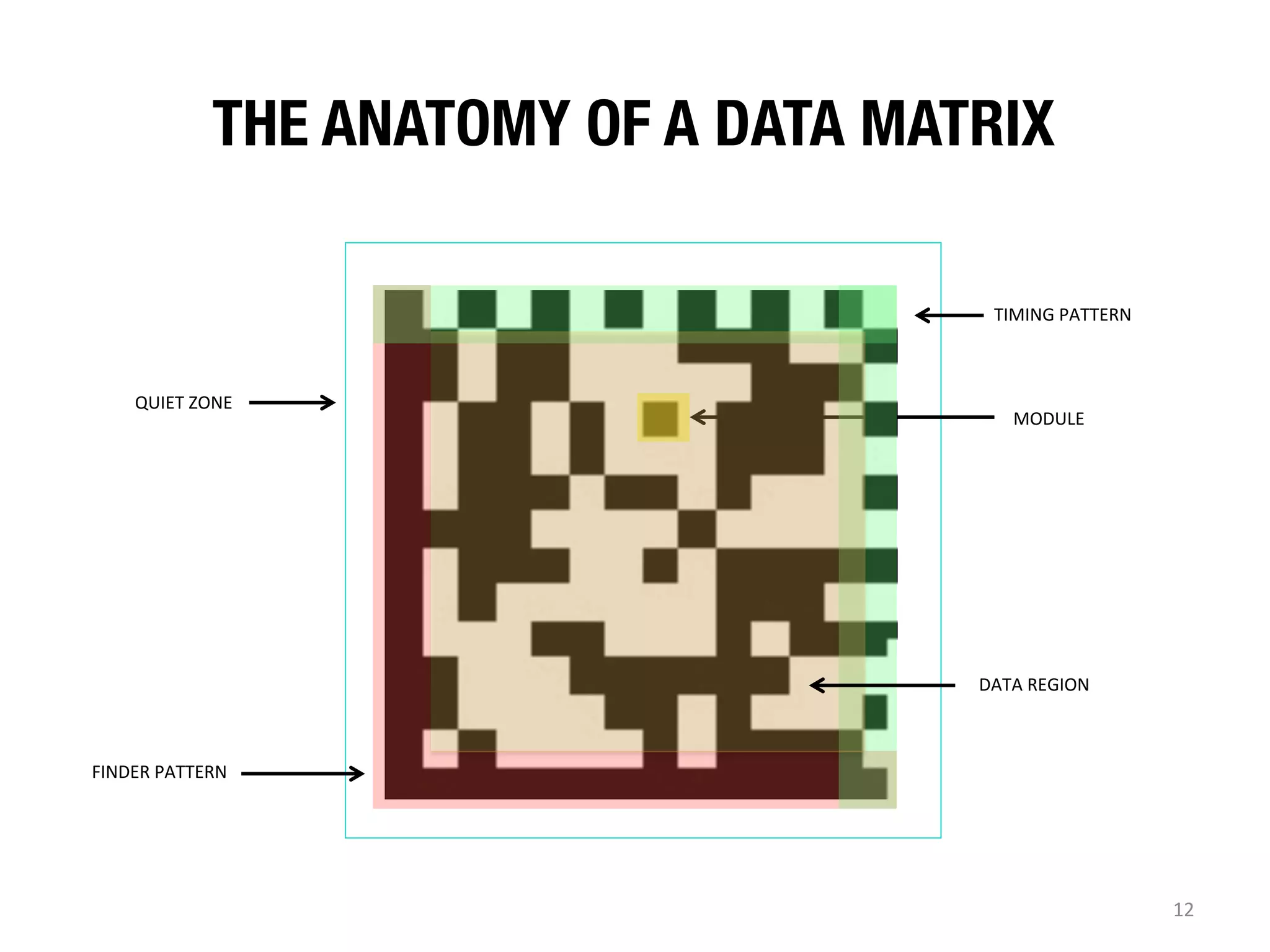 THE ANATOMY OF A DATA MATRIX 
TIMING	
  PATTERN	
  

QUIET	
  ZONE	
  

MODULE	
  

DATA	
  REGION	
  

FINDER	
  PATTERN	
  

12	
  

 