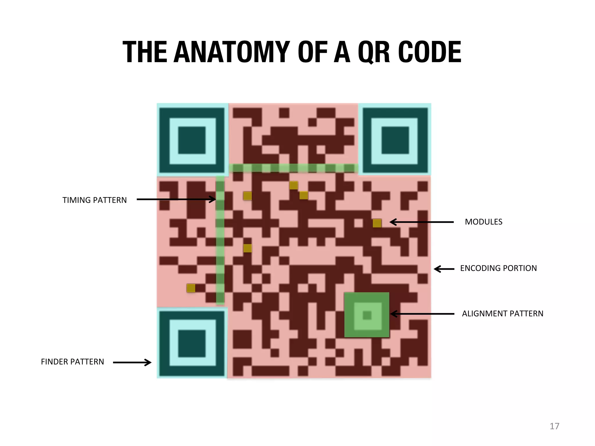 THE ANATOMY OF A QR CODE

TIMING	
  PATTERN	
  
MODULES	
  

ENCODING	
  PORTION	
  

ALIGNMENT	
  PATTERN	
  

FINDER	
  PATTERN	
  

17	
  

 