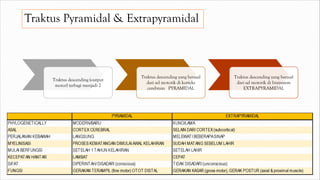 Traktus Pyramidal & Extrapyramidal
Traktus descending (output
motor) terbagi menjadi 2
Traktus descending yang berasal
dari sel motorik di korteks
cerebrum PYRAMIDAL
Traktus descending yang berasal
dari sel motorik di brainstem
EXTRAPYRAMIDAL
 