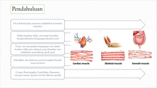 Pendahuluan
Otot skeletal pada umumnya melakukan kontraksi
volunteer
Dalam keadaan rileks, otot tetap kontraksi
mempertahankan ketegangan (muscle tone)
Tonus otot merupakan ketegangan otot dalam
keadaan rileks atau tahanan yang dirasakan saat
melakukan pemeriksaan gerak pasif
Dihasilkan dari aktivitas neural mengikuti hirarki
motor kontrol
Cortex, Basal ganglia, Cerebellum, Brainstem
reticular system, Spinal cord dan Muscle spindle
 