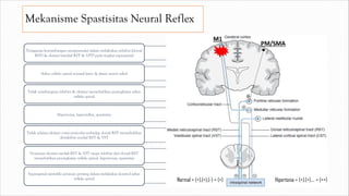 Mekanisme Spastisitas Neural Reflex
Terjaganya keseimbangan extrapyramidal dalam melakukan inhibisi (dorsal
RST) & eksitasi (medial RST & VST) pada tingkat supraspinal
Arkus refleks spinal normal (tonic & phasic stretch reflex)
Tidak seimbangnya inhibisi & eksitasi menyebabkan peningkatan arkus
refleks spinal
Hipertonia, hyperreflex, spastisitas
Tidak adanya eksitasi corticoreticular terhadap dorsal RST menyebabkan
disinhibisi medial RST & VST
Dominan eksitasi medial RST & VST tanpa inhibisi dari dorsal RST
menyebabkan peningkatan refleks spinal, hypertonia, spastisitas
Supraspinal memiliki peranan penting dalam melakukan kontrol arkus
refleks spinal Normal = (+),(+),(-) = (+) Hipertonia = (+),(+),… = (++)
 