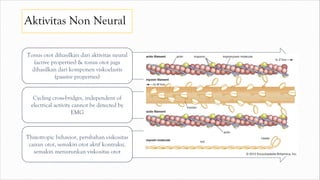 Aktivitas Non Neural
Tonus otot dihasilkan dari aktivitas neural
(active properties) & tonus otot juga
dihasilkan dari komponen viskoelastis
(passive properties)
Cycling cross-bridges, independent of
electrical activity cannot be detected by
EMG
Thixotropic behavior, perubahan viskositas
cairan otot, semakin otot aktif kontraksi,
semakin menurunkan viskositas otot
 