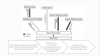 Pada tingkat supraspinal tonus otot diatur
oleh 2 traktus descending inhibitory dan 2
traktus descending facilitatory
Inhibitory tract :
Corticospinal,
Corticoreticular (premotor)
& Dorsal Reticulospinal
(pars Medullary)
Facilitatory tract :
Vestibulospinal & Medial
Reticulospinal (pars Pons)
 