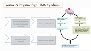 Positive & Negative Sign UMN Syndrome
Meningkatnya aktivitas medial
reticulospinal & vestibulospinal
akibat tidak adanya inhibisi
supraspinal
Positive sign UMN syndromes
Terganggunya traktus
corticospinal
Negative sign UMN syndromes
 