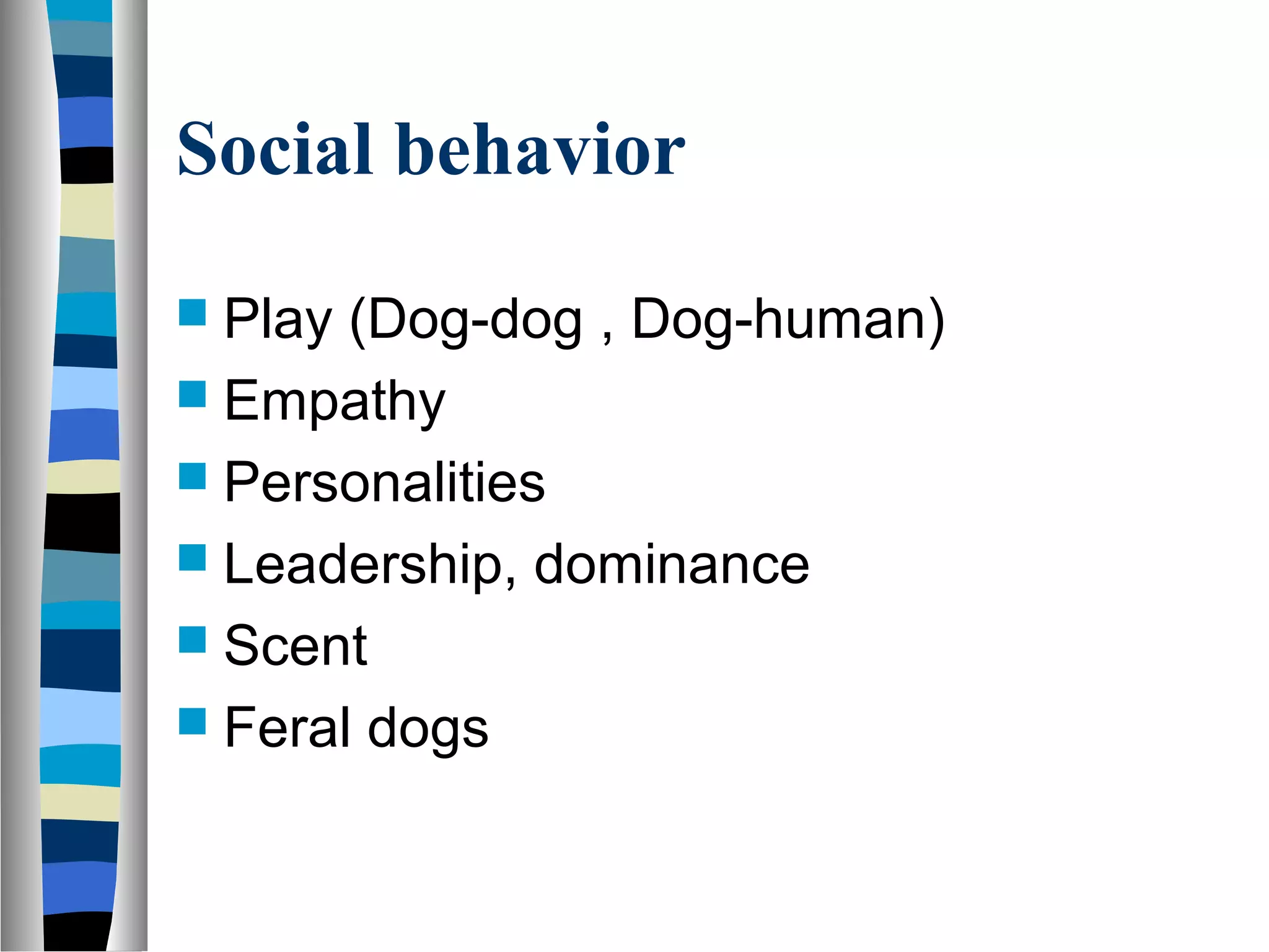 Social behavior
 Play (Dog-dog , Dog-human)
 Empathy
 Personalities
 Leadership, dominance
 Scent
 Feral dogs
 