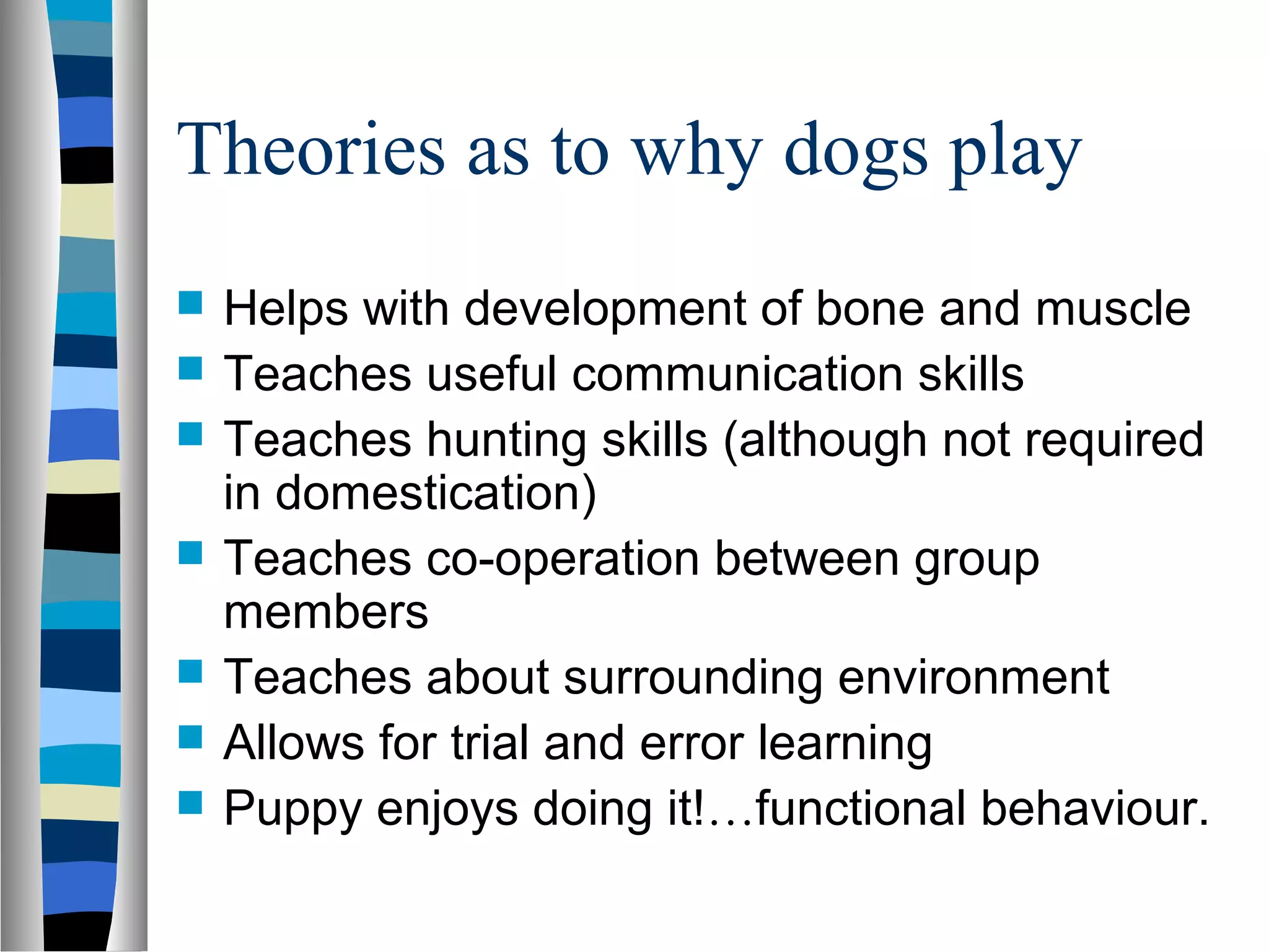 Theories as to why dogs play
 Helps with development of bone and muscle
 Teaches useful communication skills
 Teaches hunting skills (although not required
in domestication)
 Teaches co-operation between group
members
 Teaches about surrounding environment
 Allows for trial and error learning
 Puppy enjoys doing it!…functional behaviour.
 