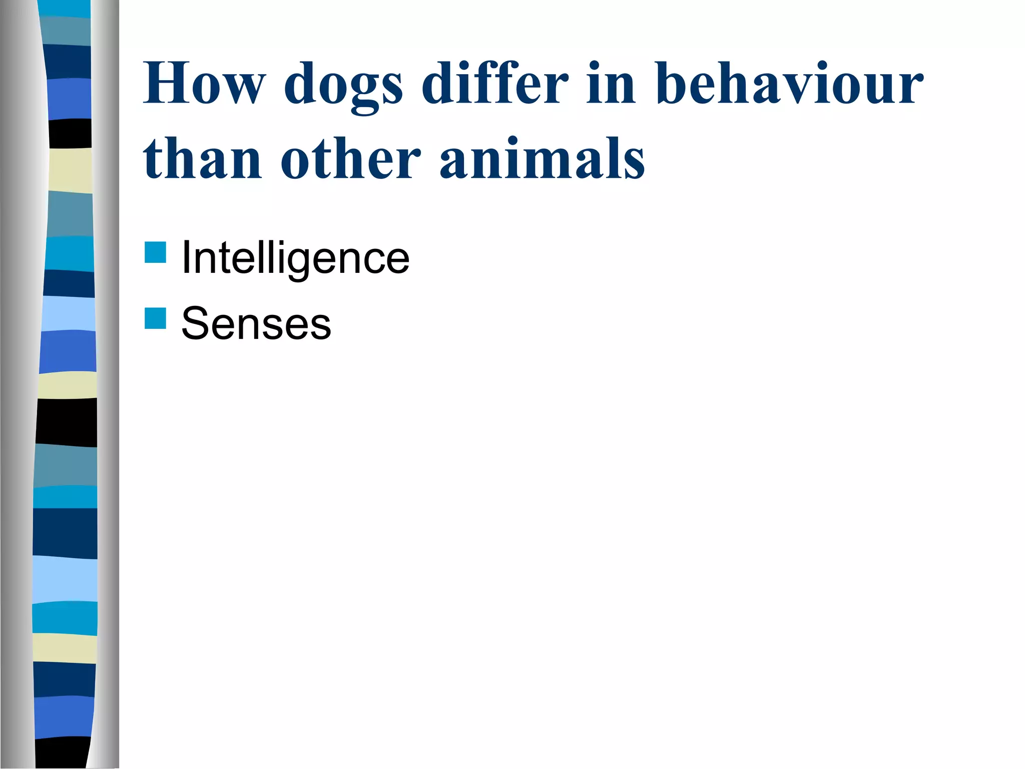 How dogs differ in behaviour
than other animals
 Intelligence
 Senses
 