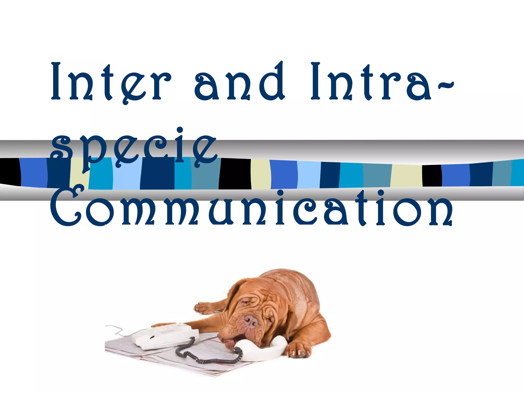 Inter and Intra-
specie
Communication
 