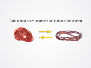 Trade of food delay reciprocity can increase food sharing 
 