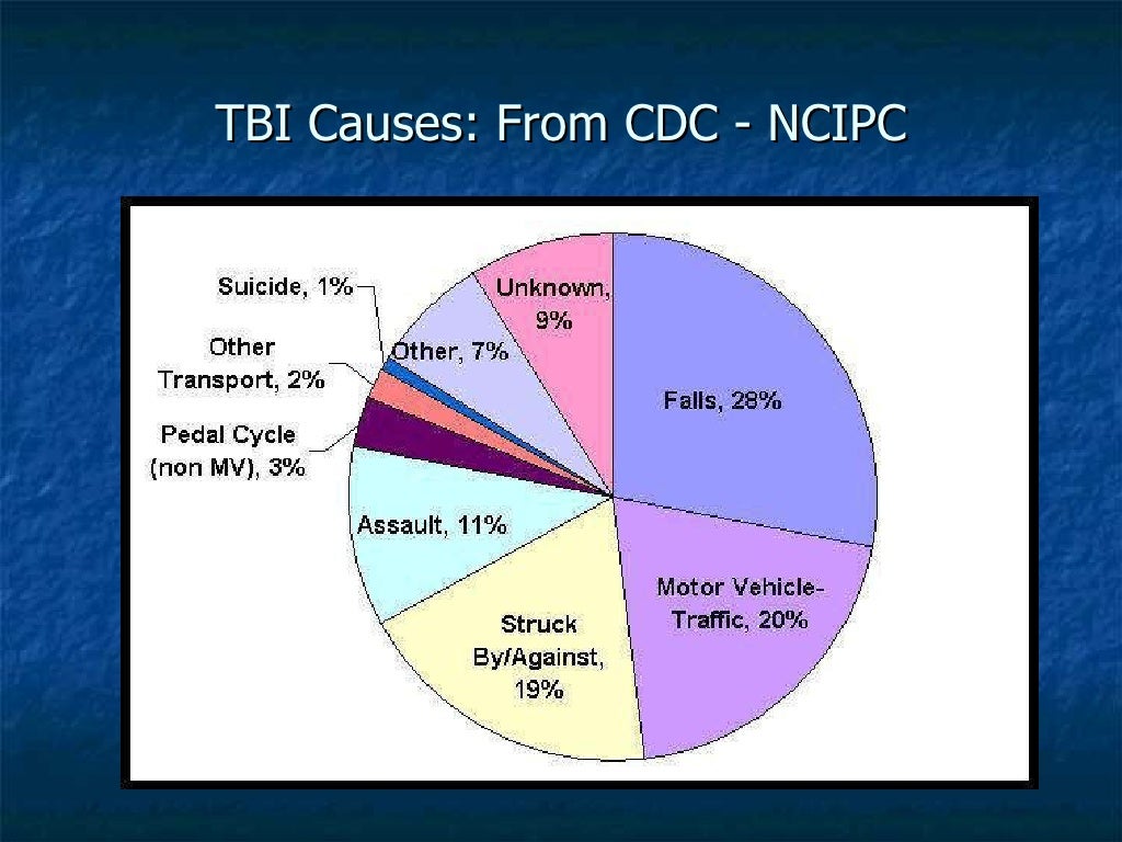 Understanding Brain Concussion: Facts Assessment and Intervention