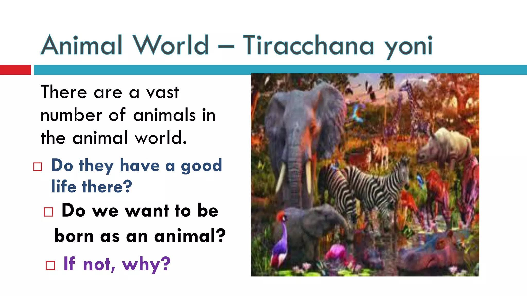 There are a vast
number of animals in
the animal world.
 Do we want to be
born as an animal?
 Do they have a good
life there?
 If not, why?
 