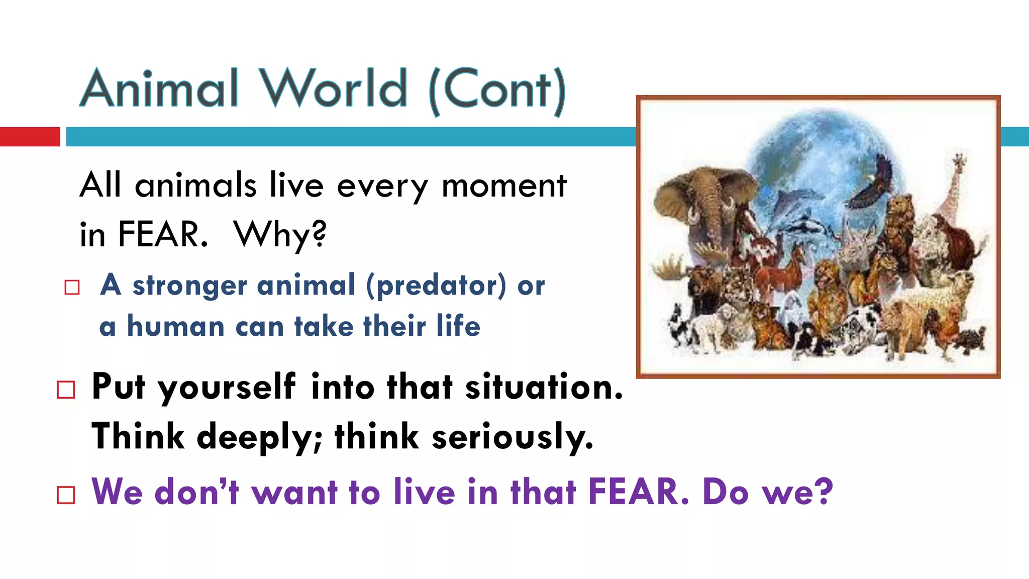 All animals live every moment
in FEAR. Why?
 Put yourself into that situation.
Think deeply; think seriously.
 A stronger animal (predator) or
a human can take their life
 We don’t want to live in that FEAR. Do we?
 